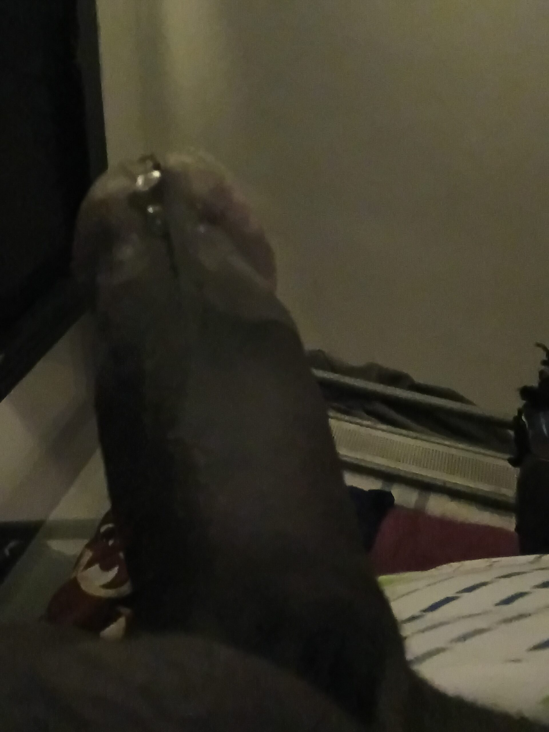 Bonne bite bien noir