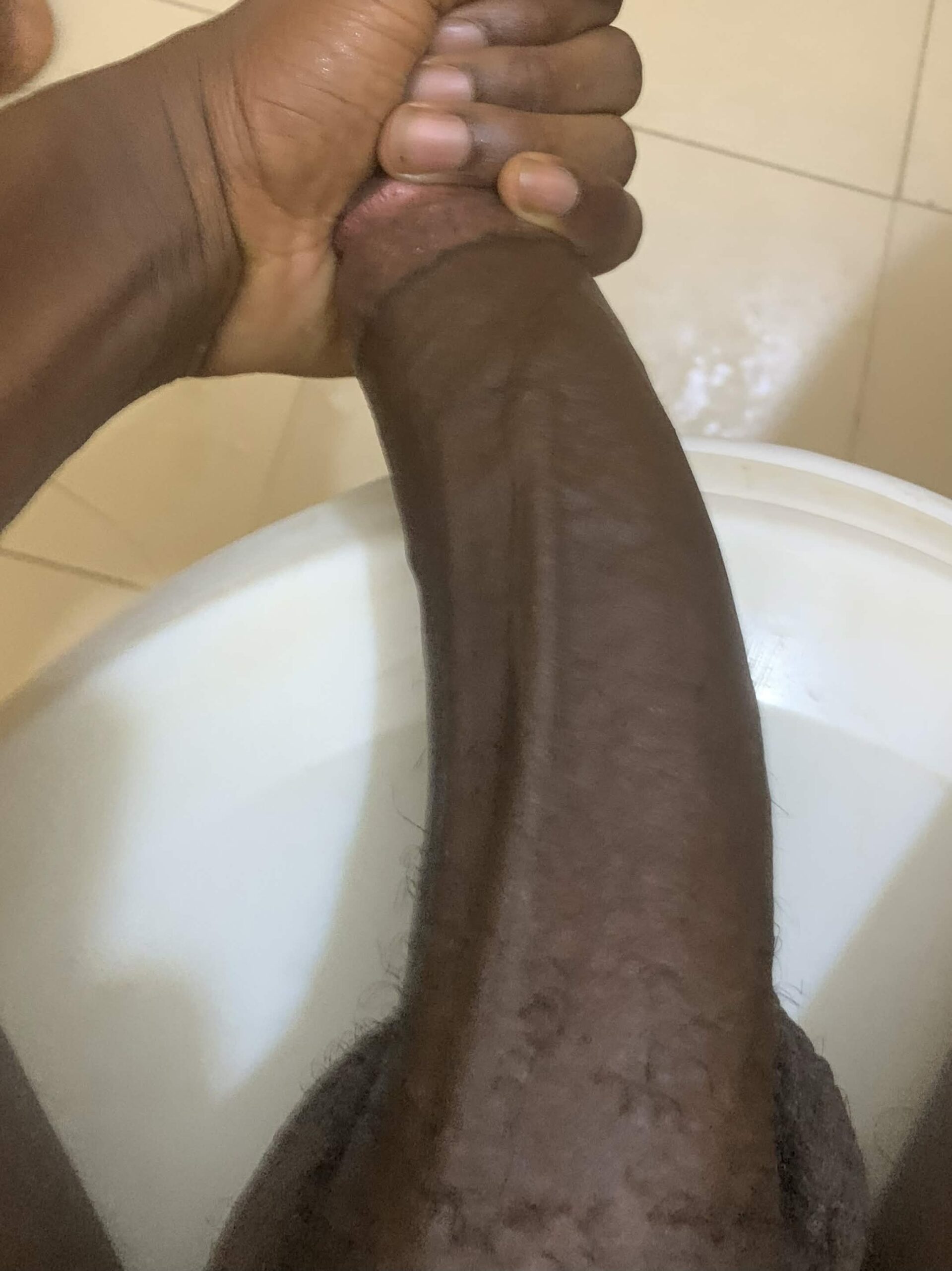 Grosse bite noire